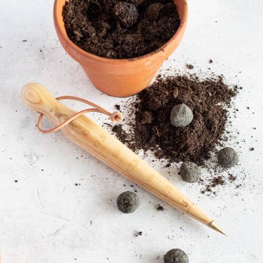 Seedballs - Essbare Blüten (6St.)