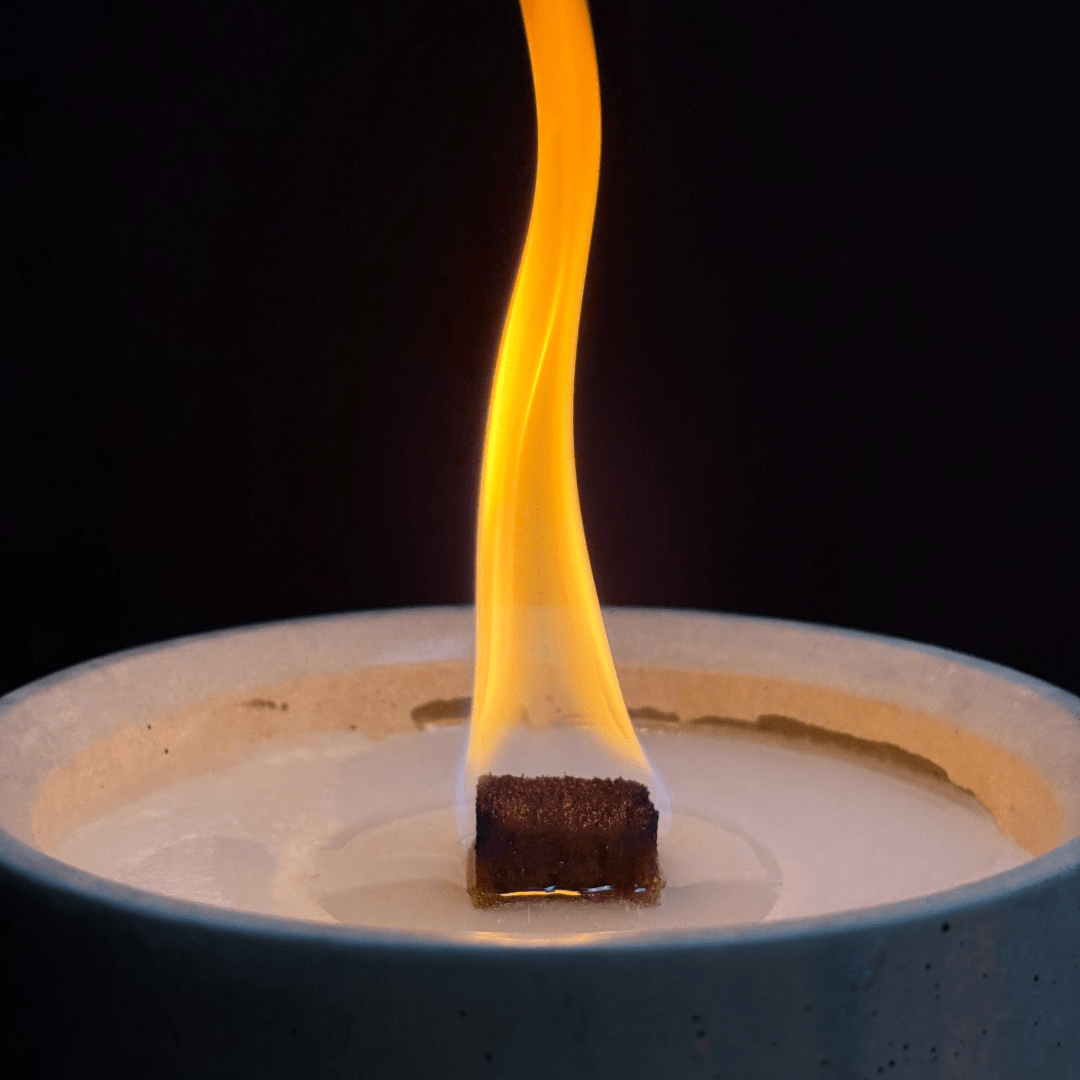 Dauerfeuer CLARUS (2er Set)