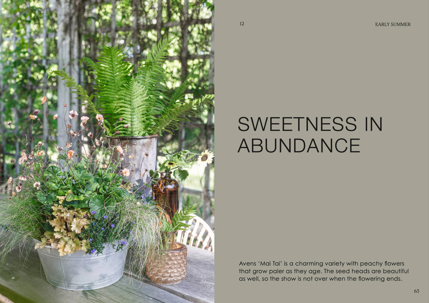 Der Topfgarten — das ganze Jahr über