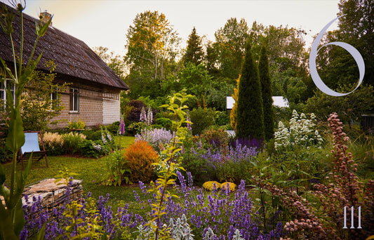 Gartenbuch: Inselgärten