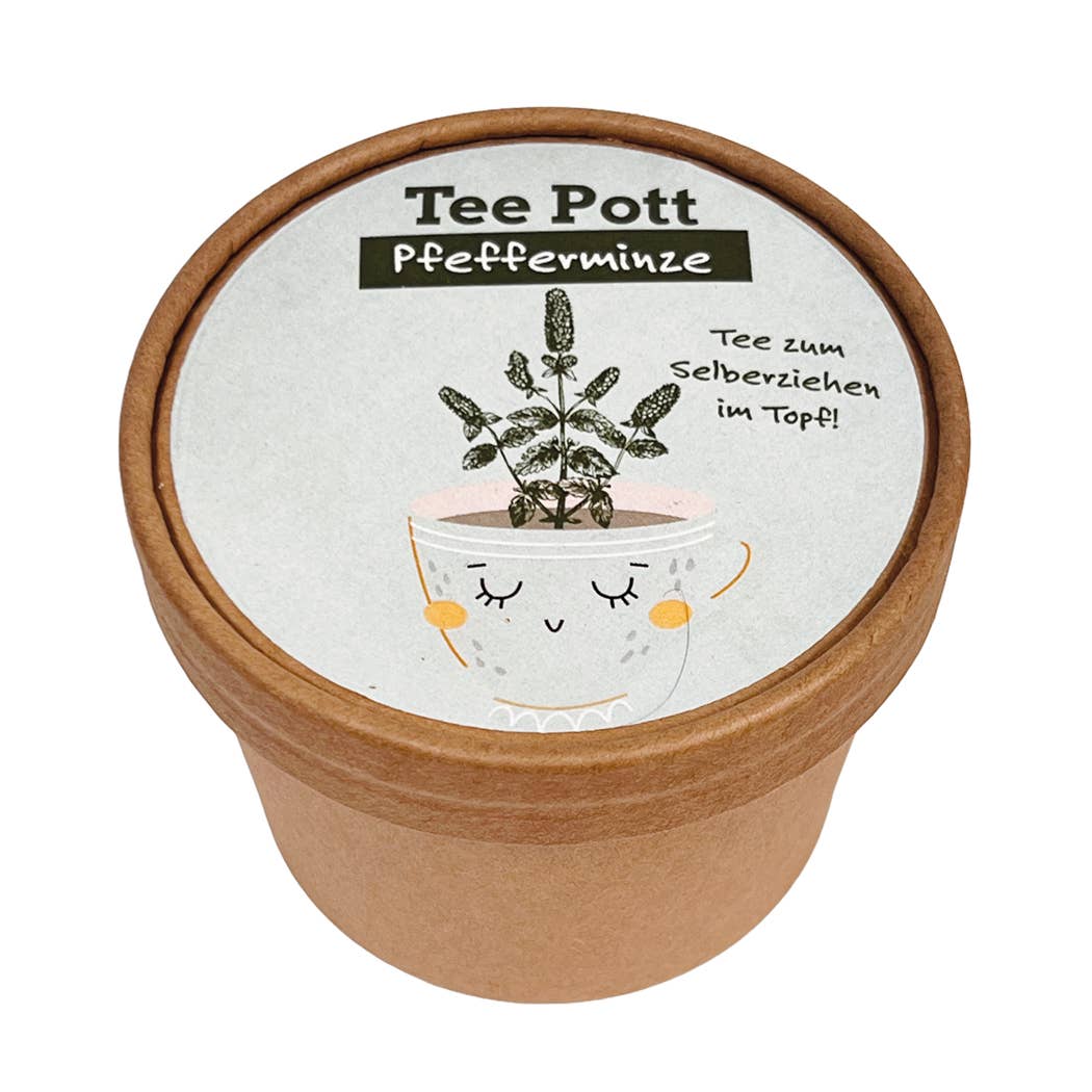 Teepott Pfefferminze – Anzuchtset für frischen Minztee