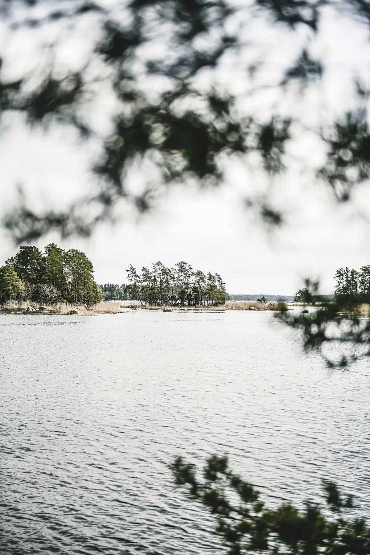 Hausgemacht — Geheimnisse zeitloser Innenräume