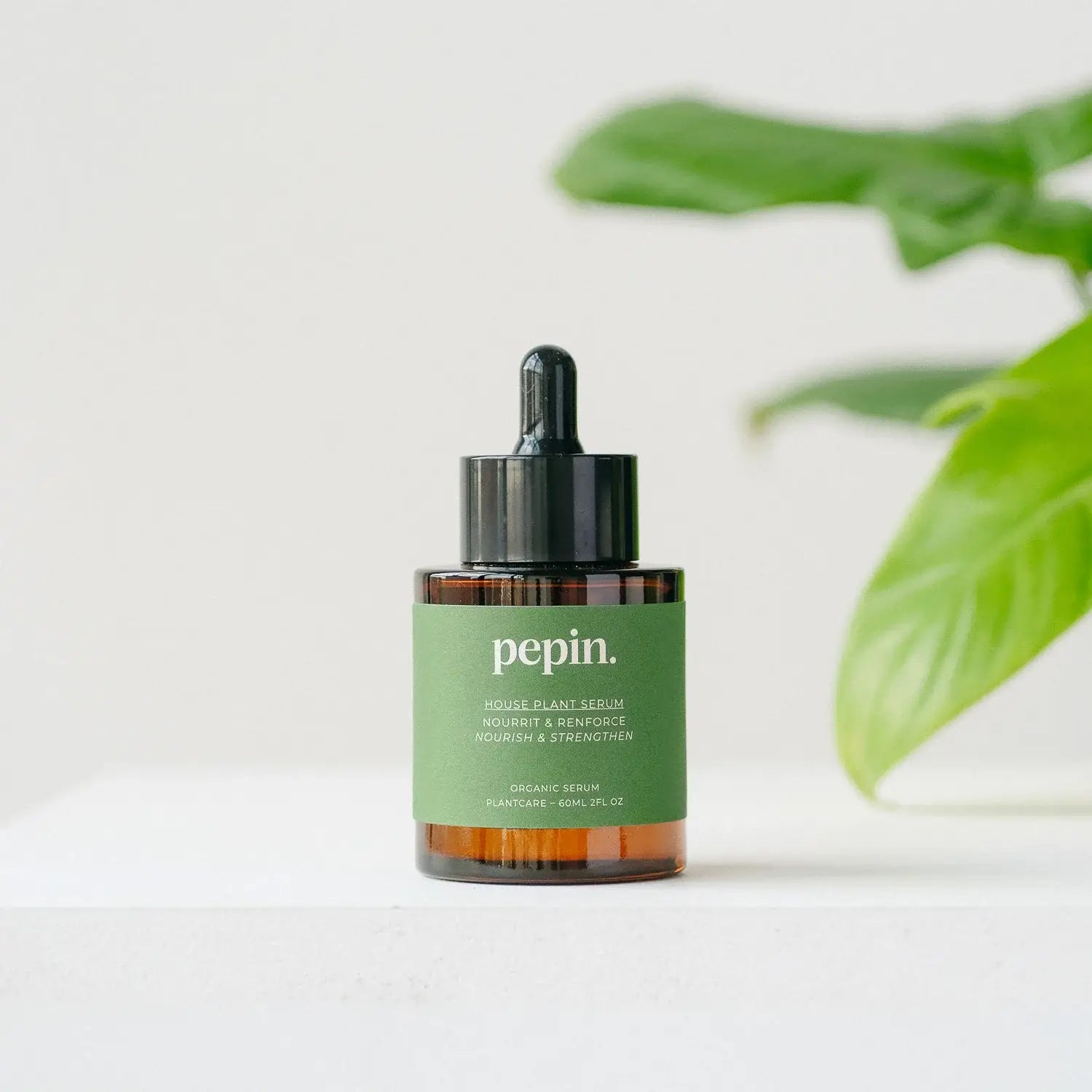 Hauspflanzen-Serum – natürlicher Dünger für Zimmerpflanzen – Gartenkarl