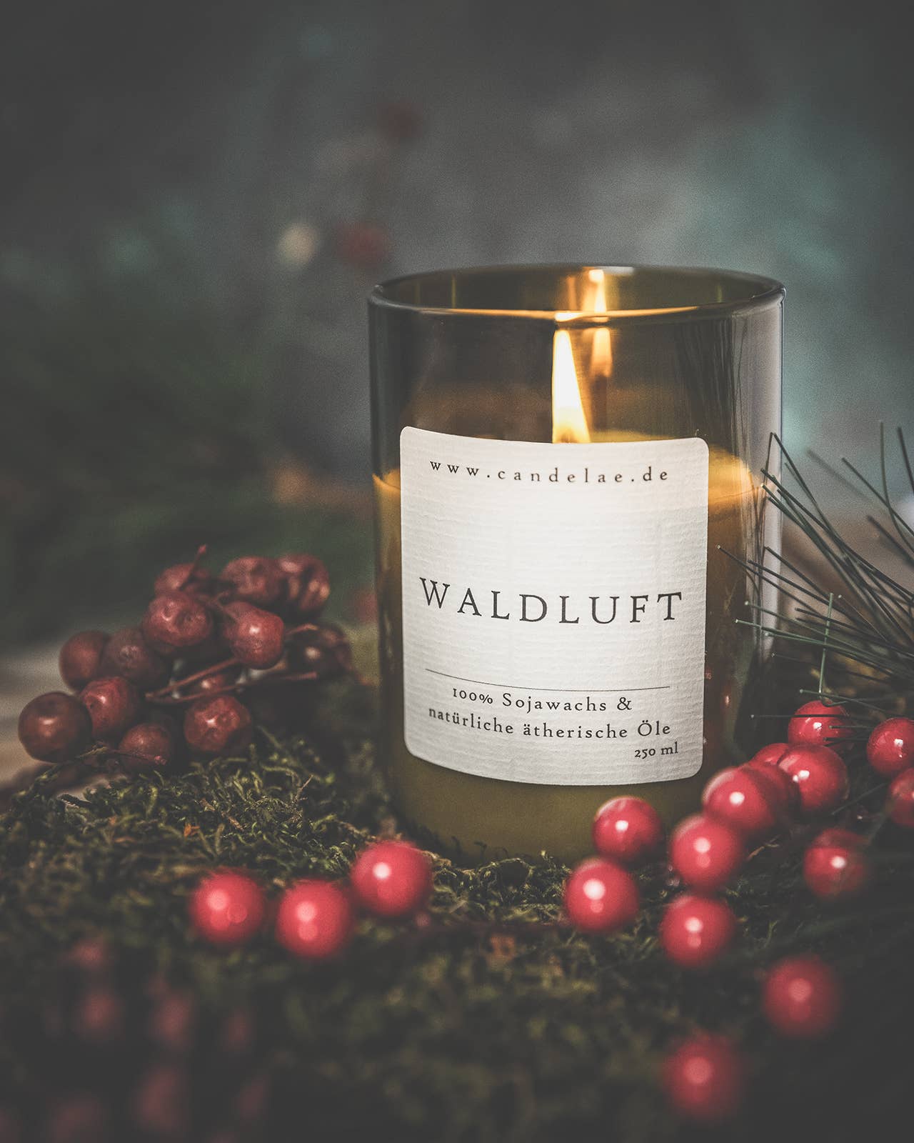 Duftkerze Waldluft – Naturaroma für dein Zuhause