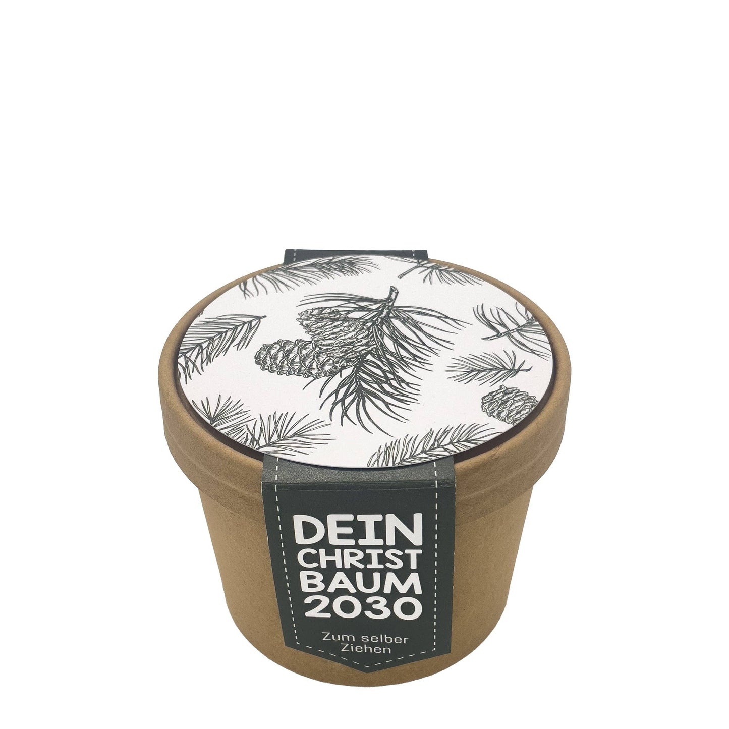 Dein Christbaum 2030 – ökologisches Pflanzset