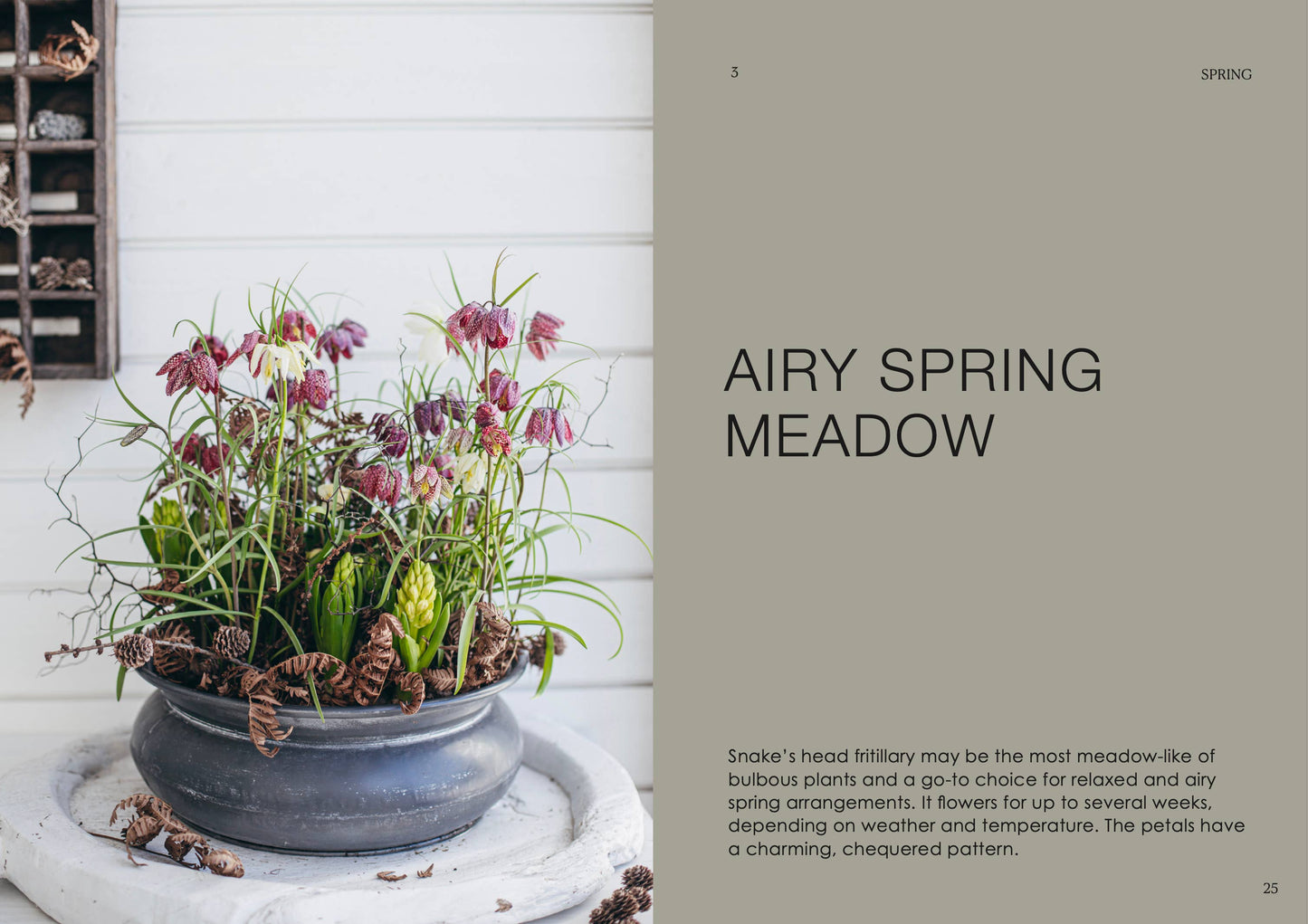 Der Topfgarten — das ganze Jahr über