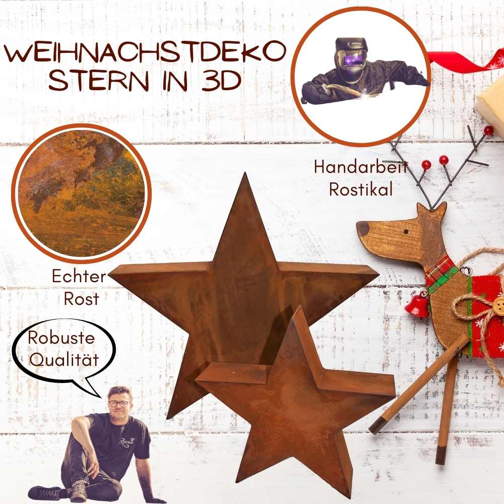 XL Weihnachtsstern Rost 3D
