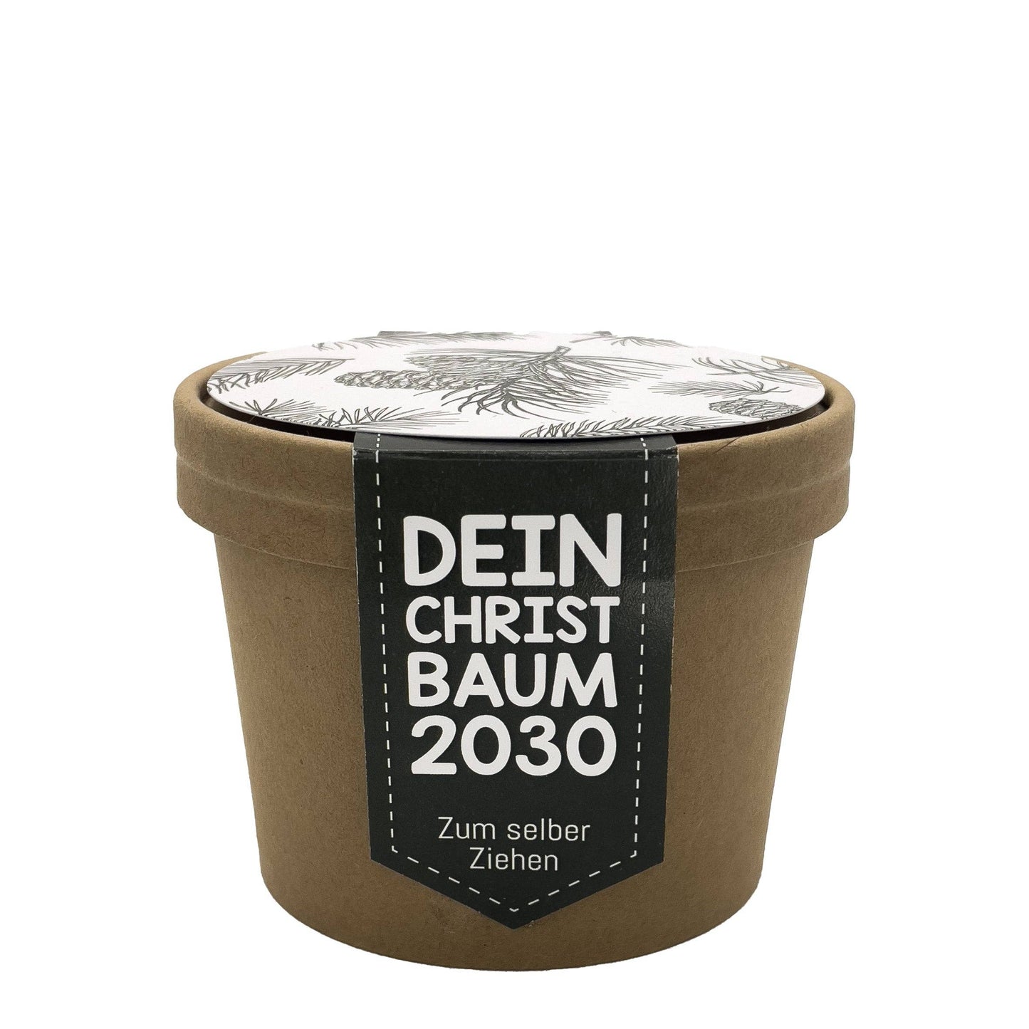 Dein Christbaum 2030 – ökologisches Pflanzset