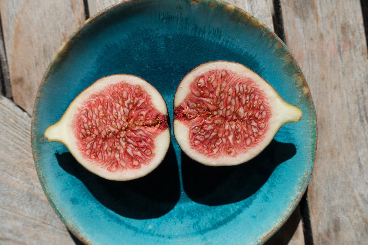 Ficus Carica (Feigenbaum) "Brown Turkey" – robust, ertragreich & winterhart
