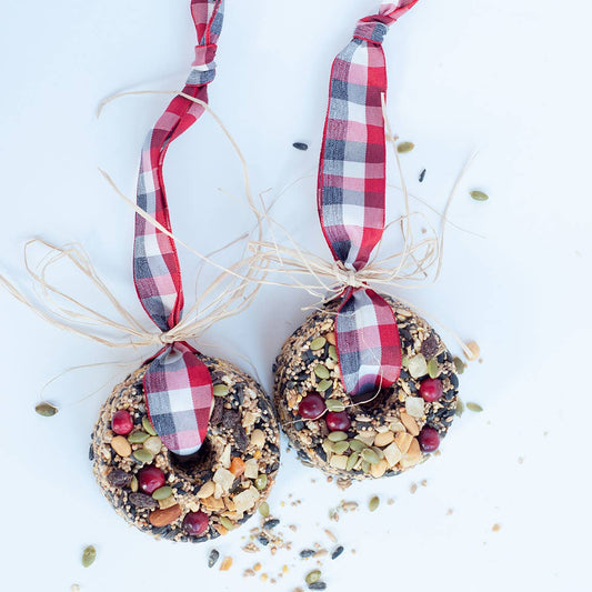 Kleiner gemischter Samenkranz – dekorativ & nahrhaft für Vögel