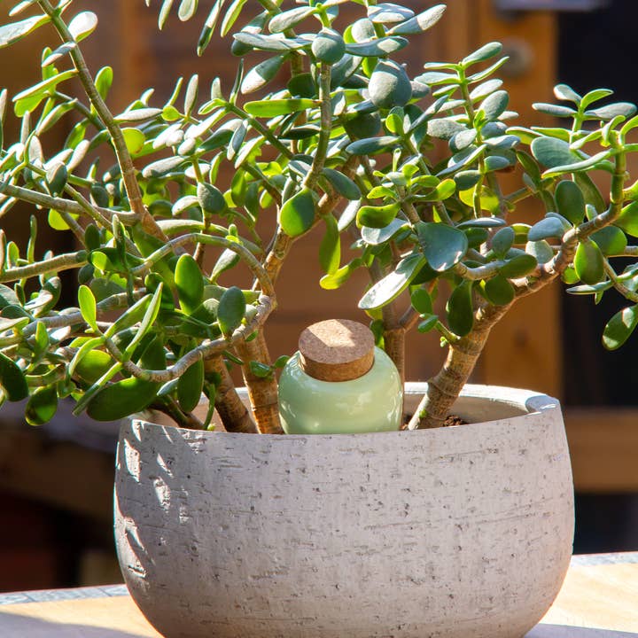Olla – Grün, handgefertigt