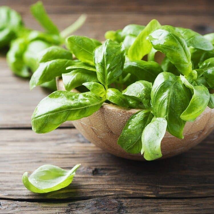 Bio-Basilikum-Pesto 180g – traditionell & aromatisch