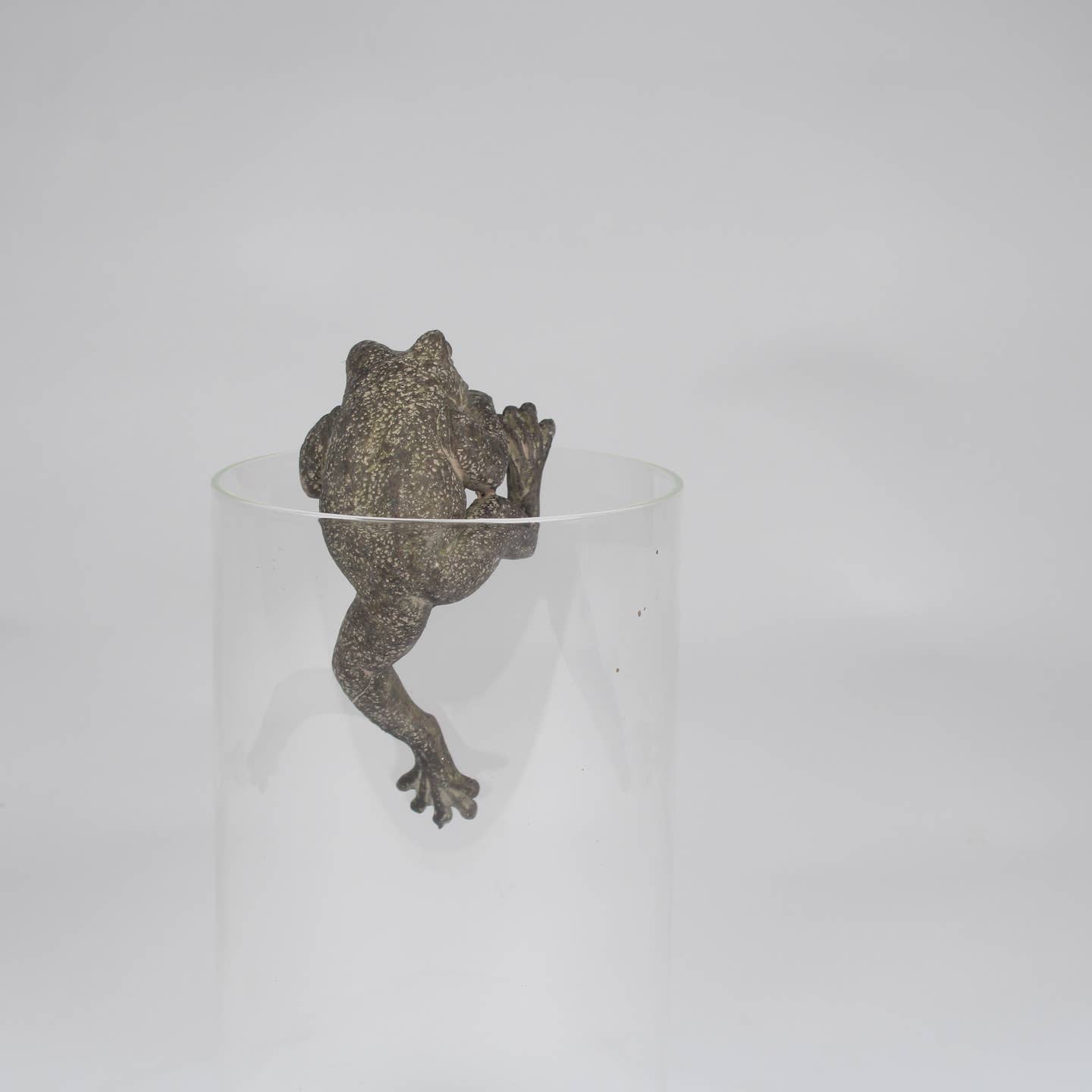 Gartentopfaufhänger Frosch – dekoratives Gartenornament