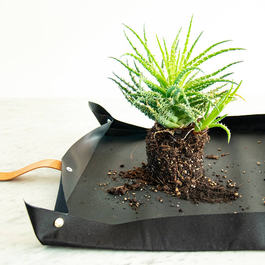 Pflanzunterlage – wasserdichte Topfplane aus recyceltem Material