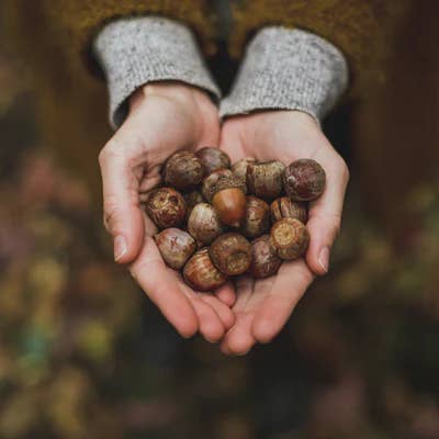 Slow Living – Die Kunst des langsamen Lebens