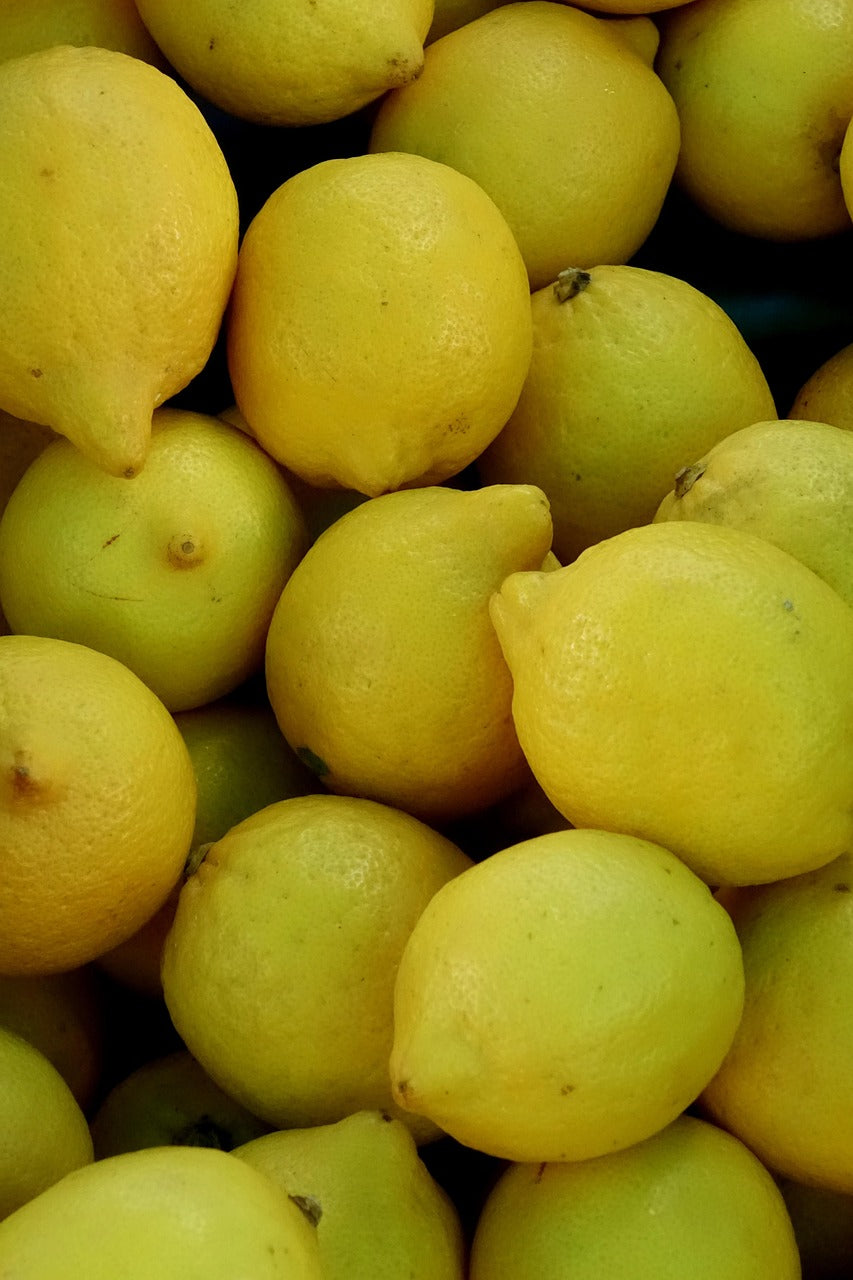 Zitronenbaum (Citrus limon) – mediterraner Klassiker für Garten, Terrasse & Balkon