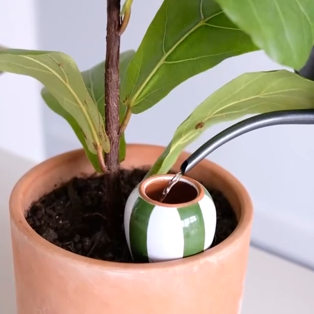 Olla – Grün, handgefertigt