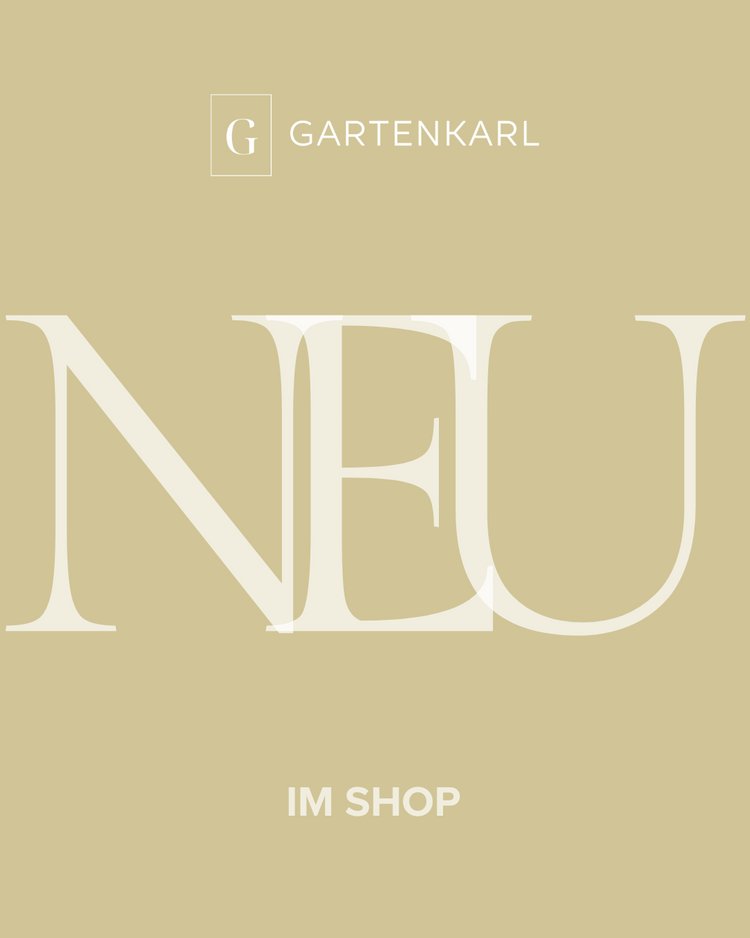 Neu im Shop
