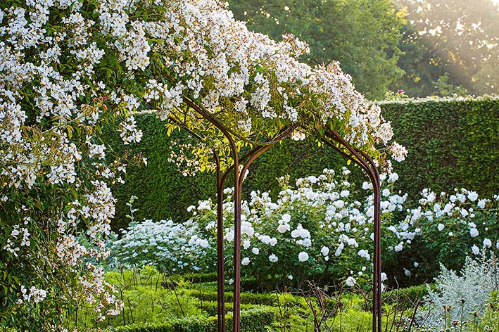 Romantische Gartenreisen in England (Deutsch)