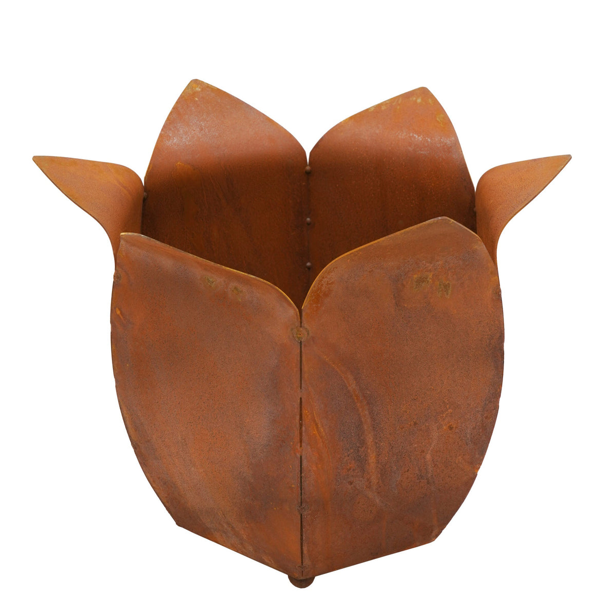 2er Set Pflanztöpfe Tulpe, Ø 37 & 42 cm, Edelrost