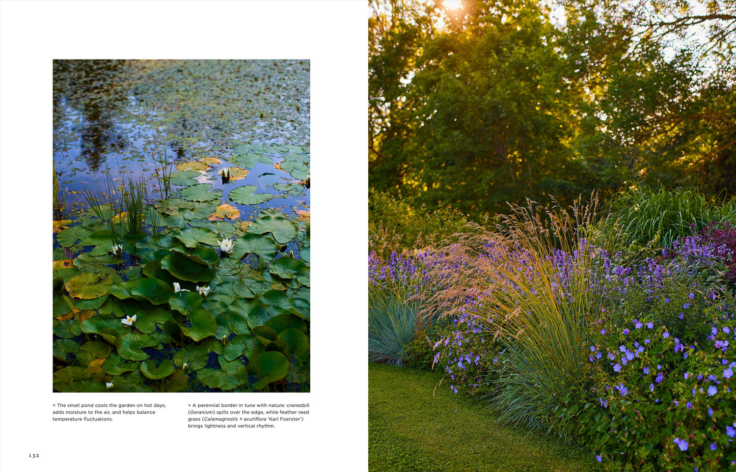 Gartenbuch: Inselgärten