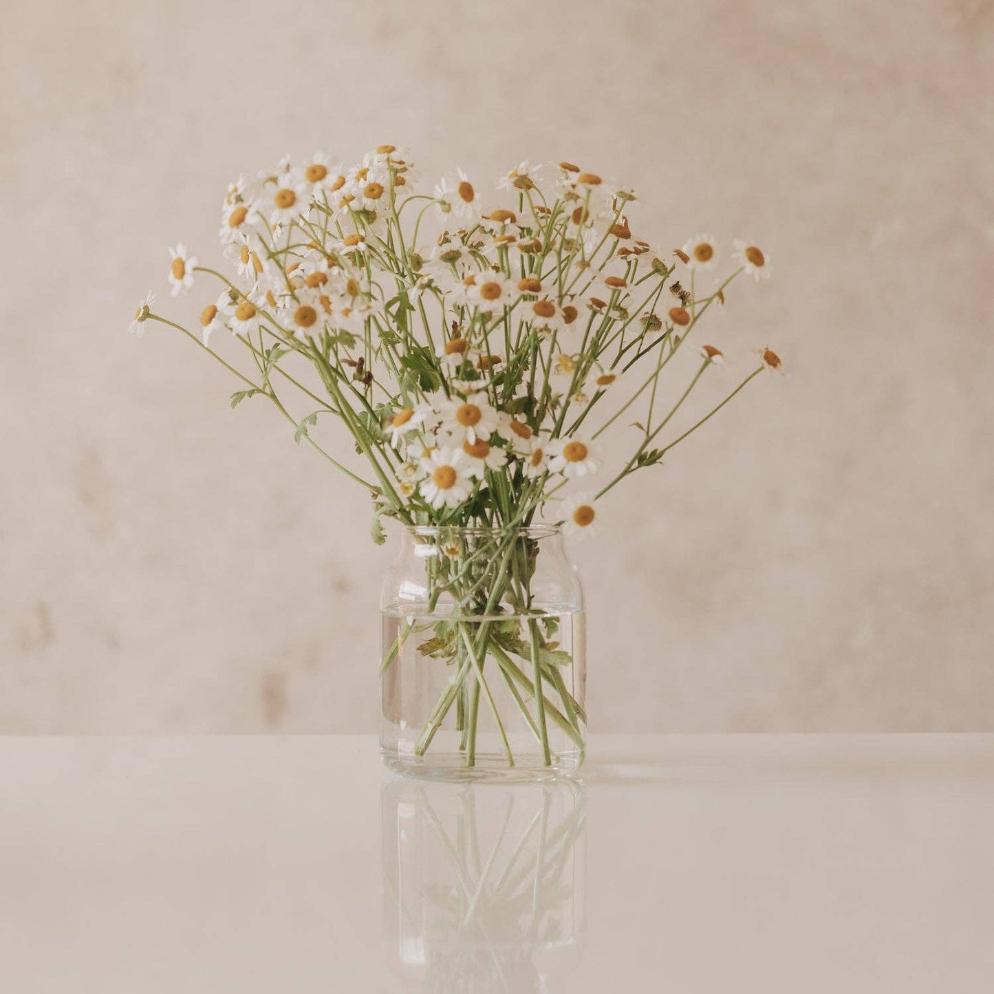 Vase aus Glas klein Herzen weiß (VE = 6 Stk.)
