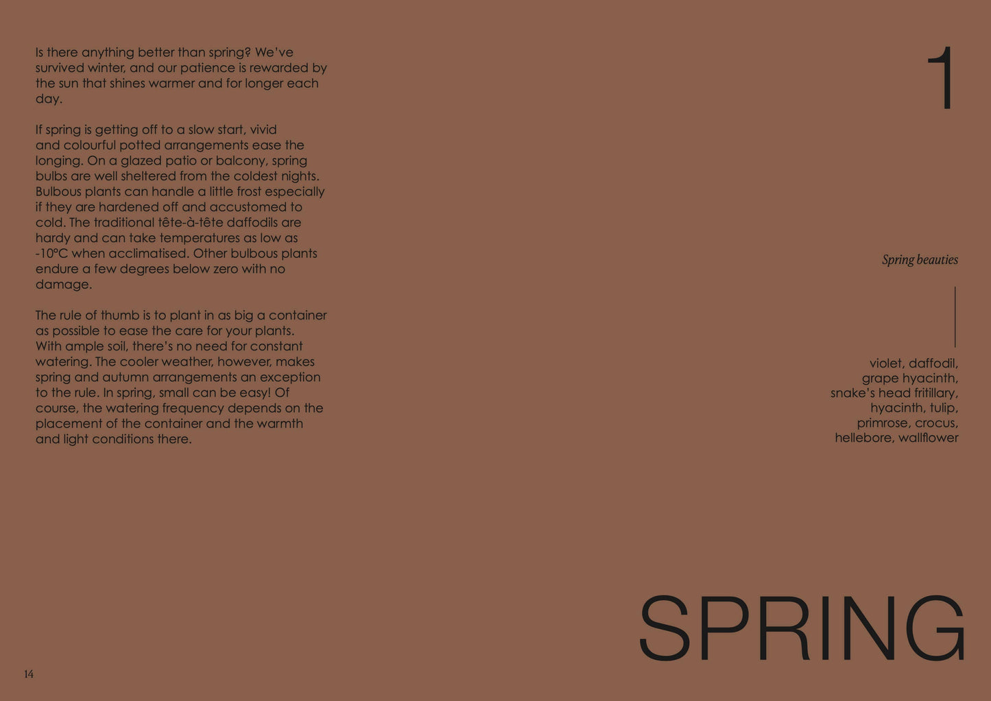 Der Topfgarten — das ganze Jahr über