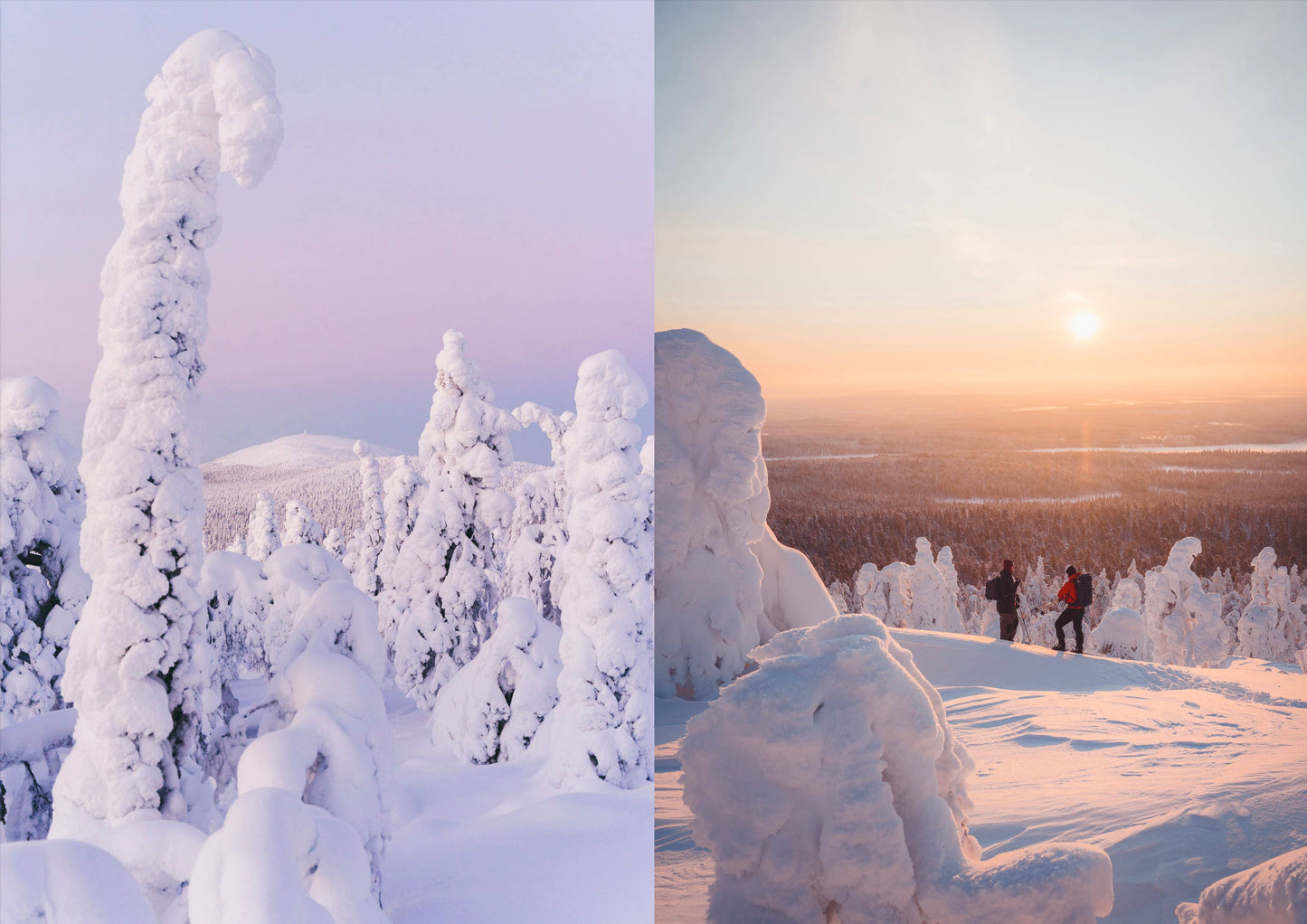 Essen am Lagerfeuer — Rezepte für Tageswanderungen & Wildnis