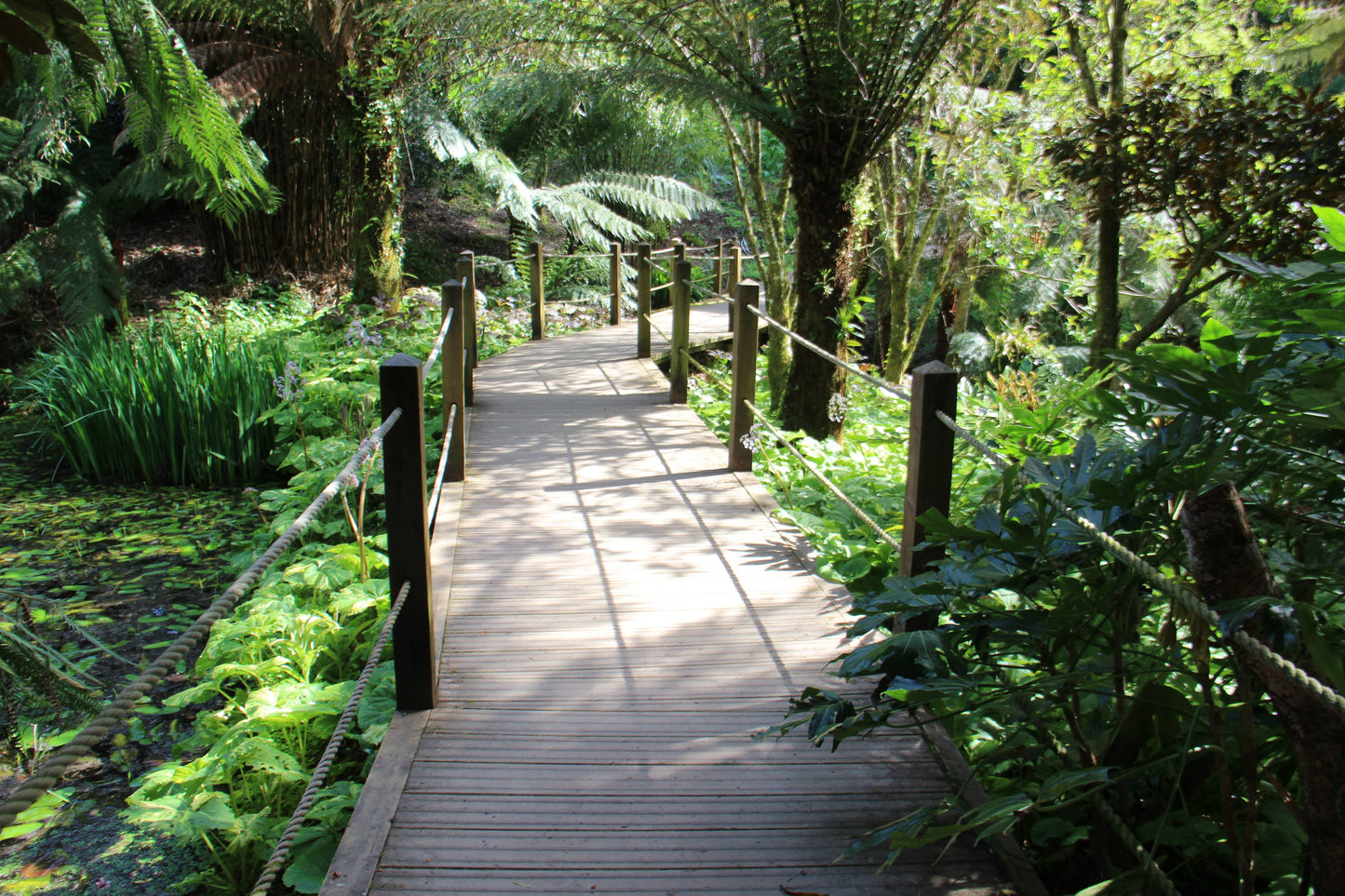 Gärtnern wie Gott in England