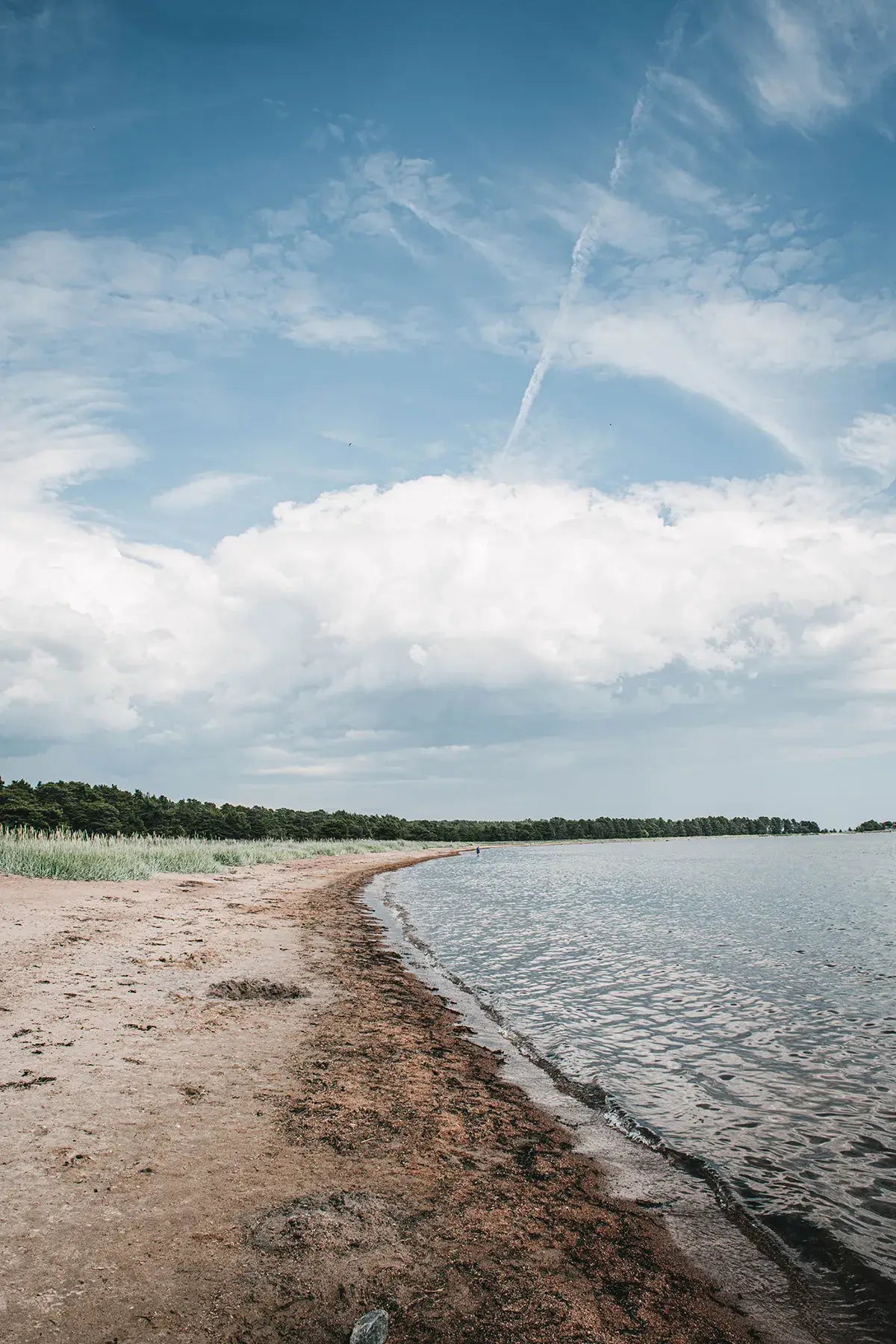 Hausgemacht — Geheimnisse zeitloser Innenräume