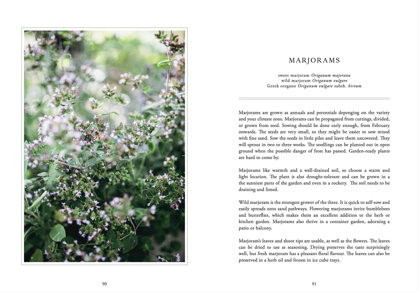 Leben mit Kräutern – Kräuter anbauen, pflegen & genießen