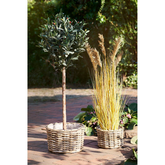 Körbe aus Rattan, 2-teiliges natürliches Set