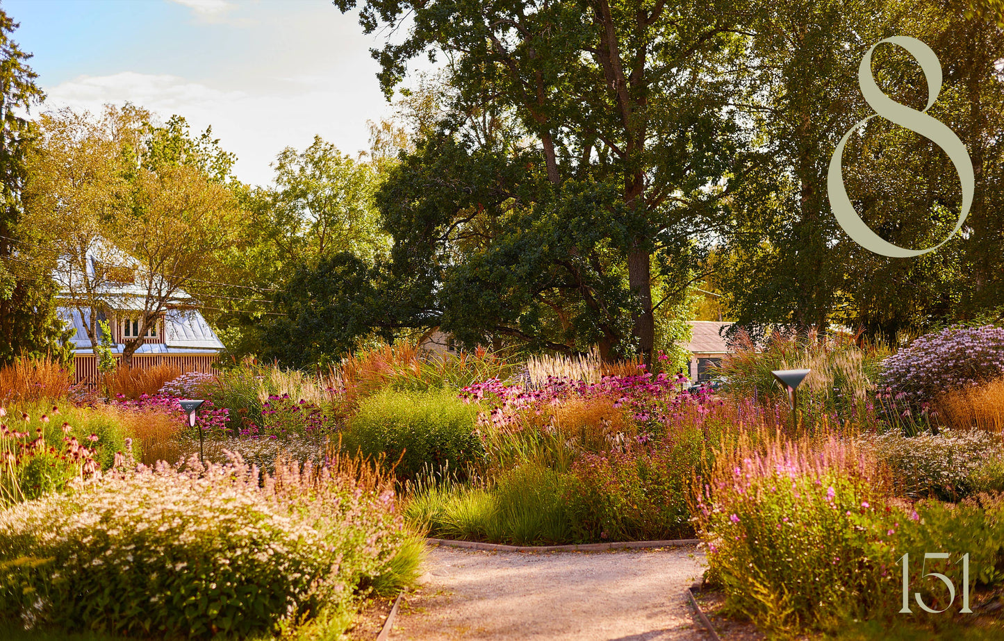 Gartenbuch: Inselgärten