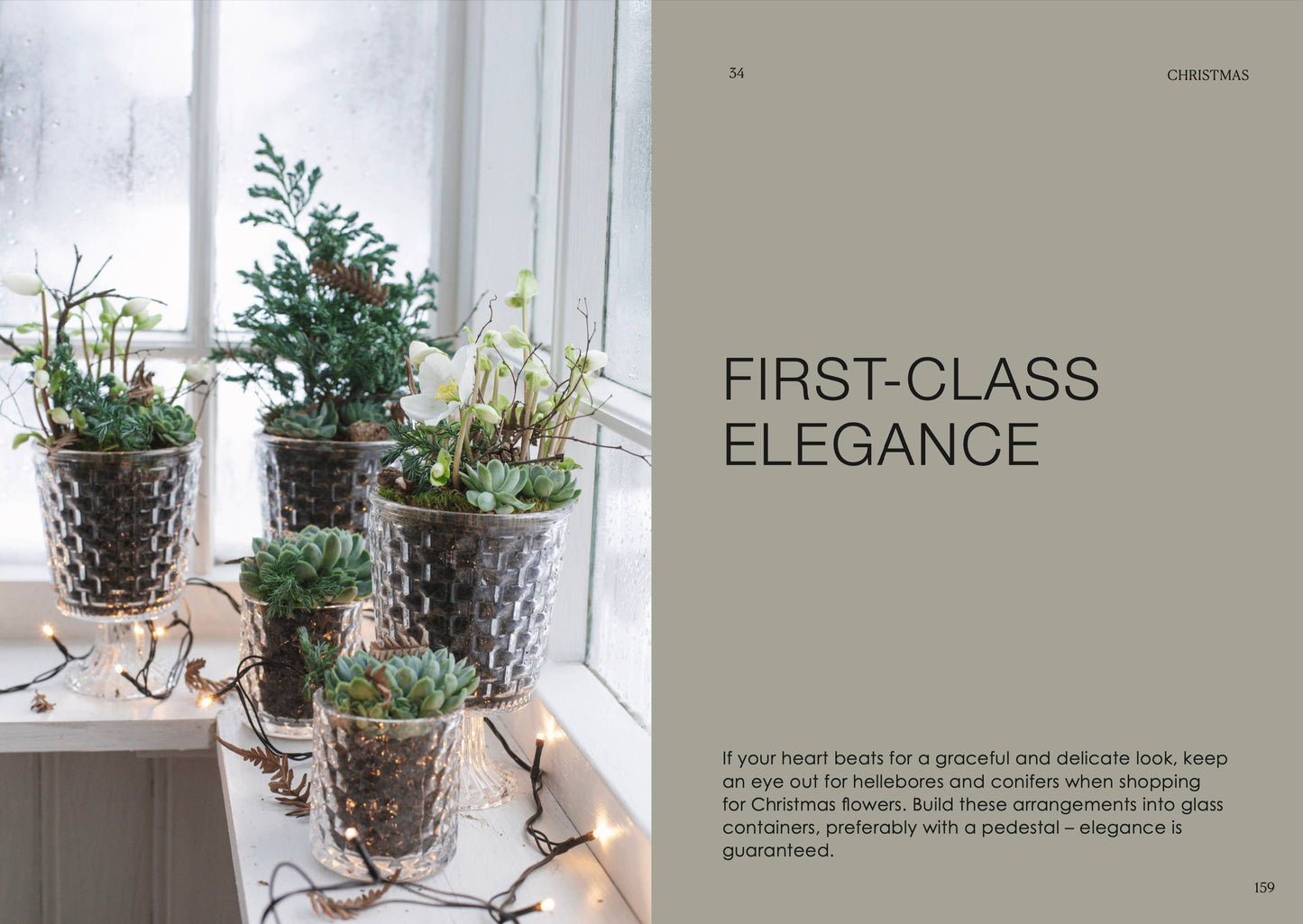 Der Topfgarten — das ganze Jahr über