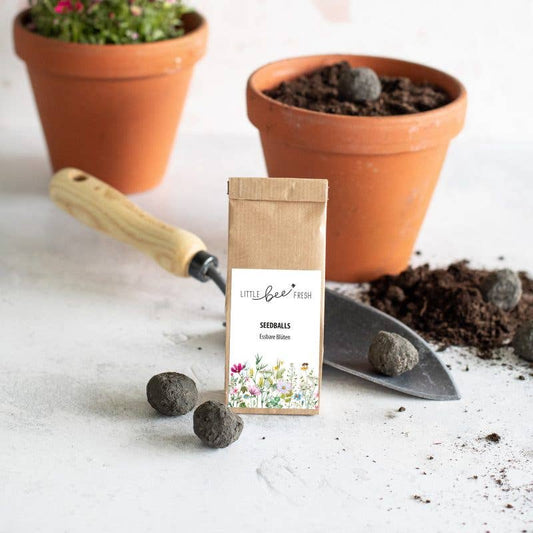Seedballs - Essbare Blüten (6St.)