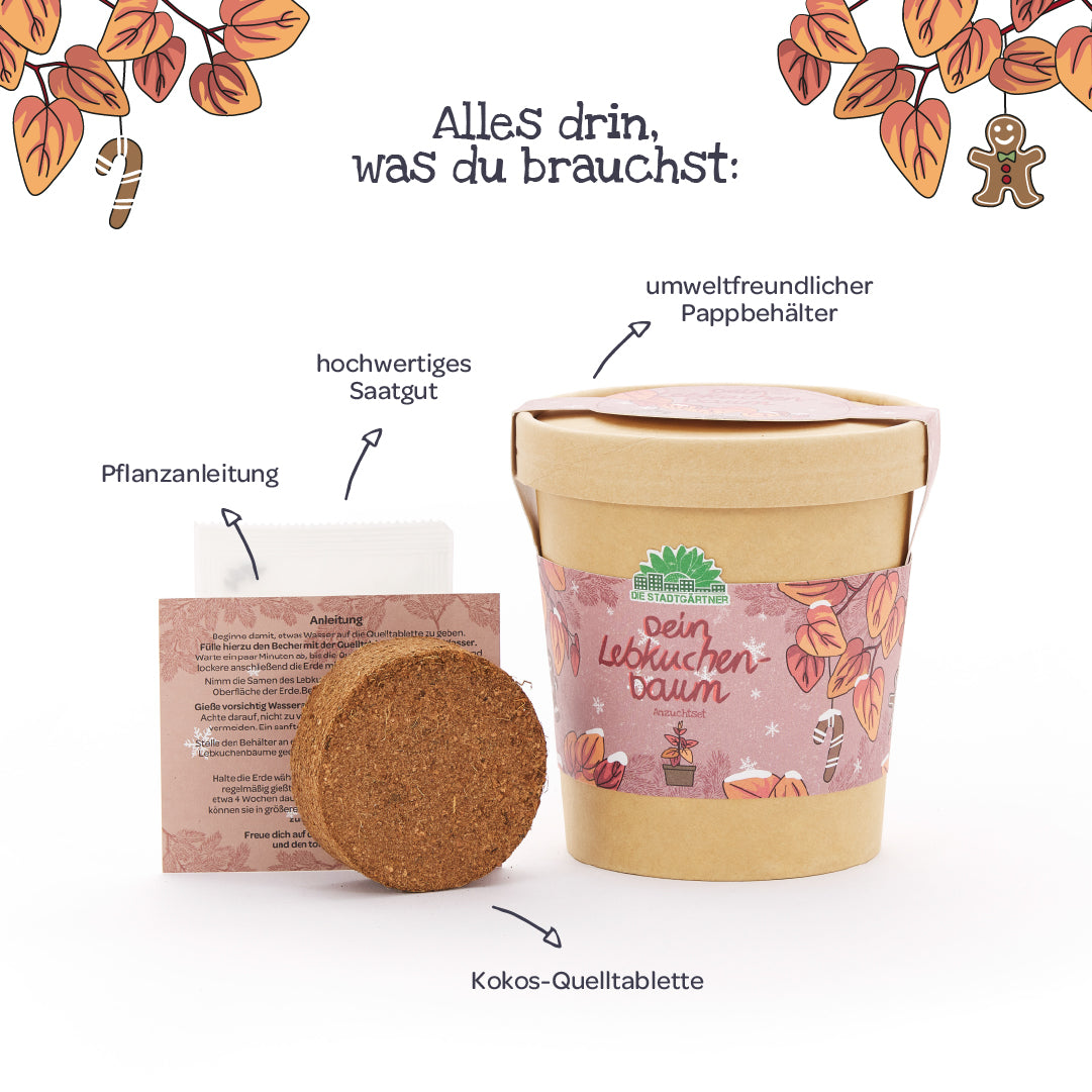 Lebkuchenbaum aus dem Becher