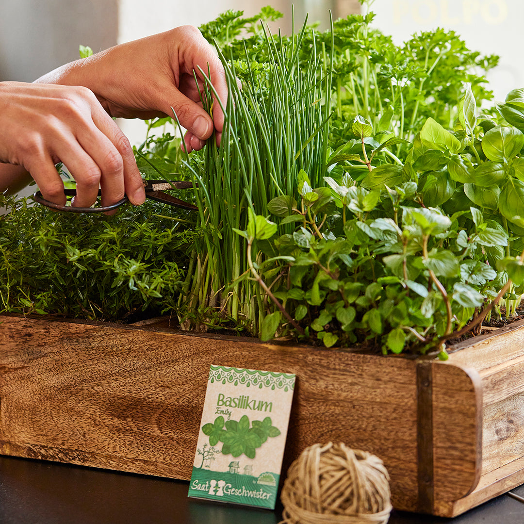 Ziegelform mit 6 Fächern