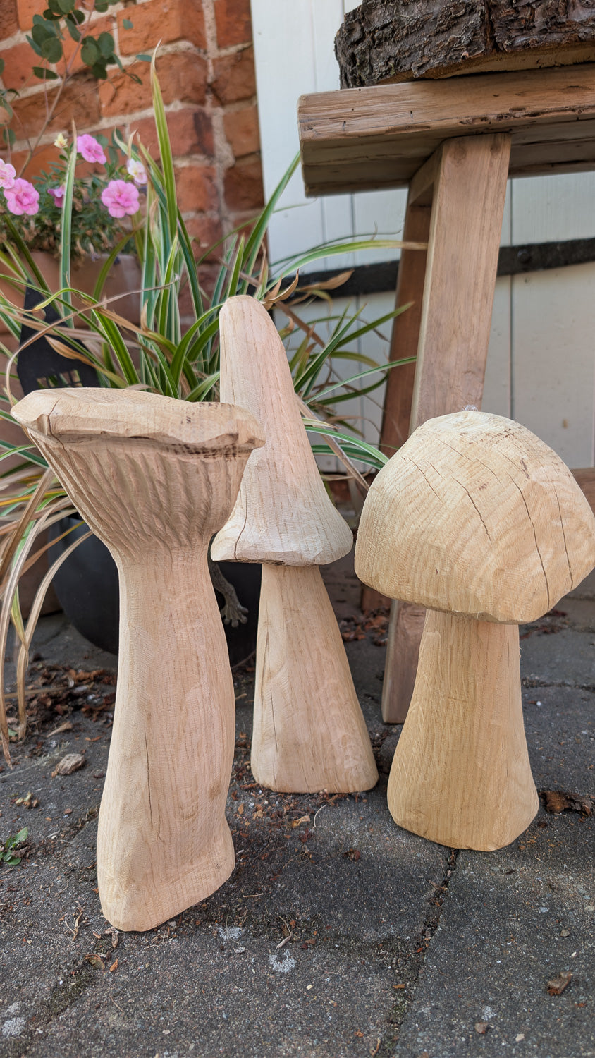 Pilze im 3er-Set aus massivem Eichenholz