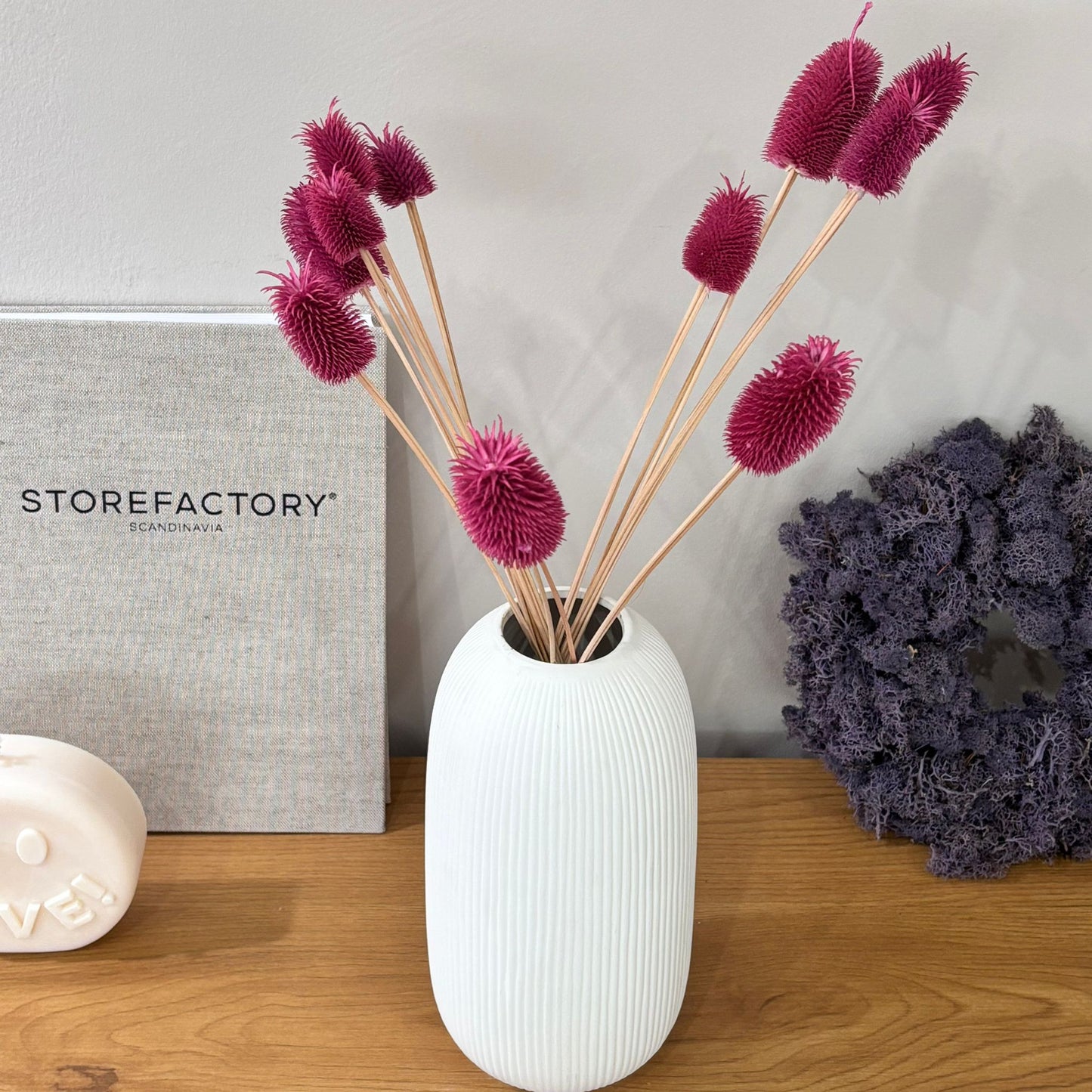 Getrocknete Distel – Cardi