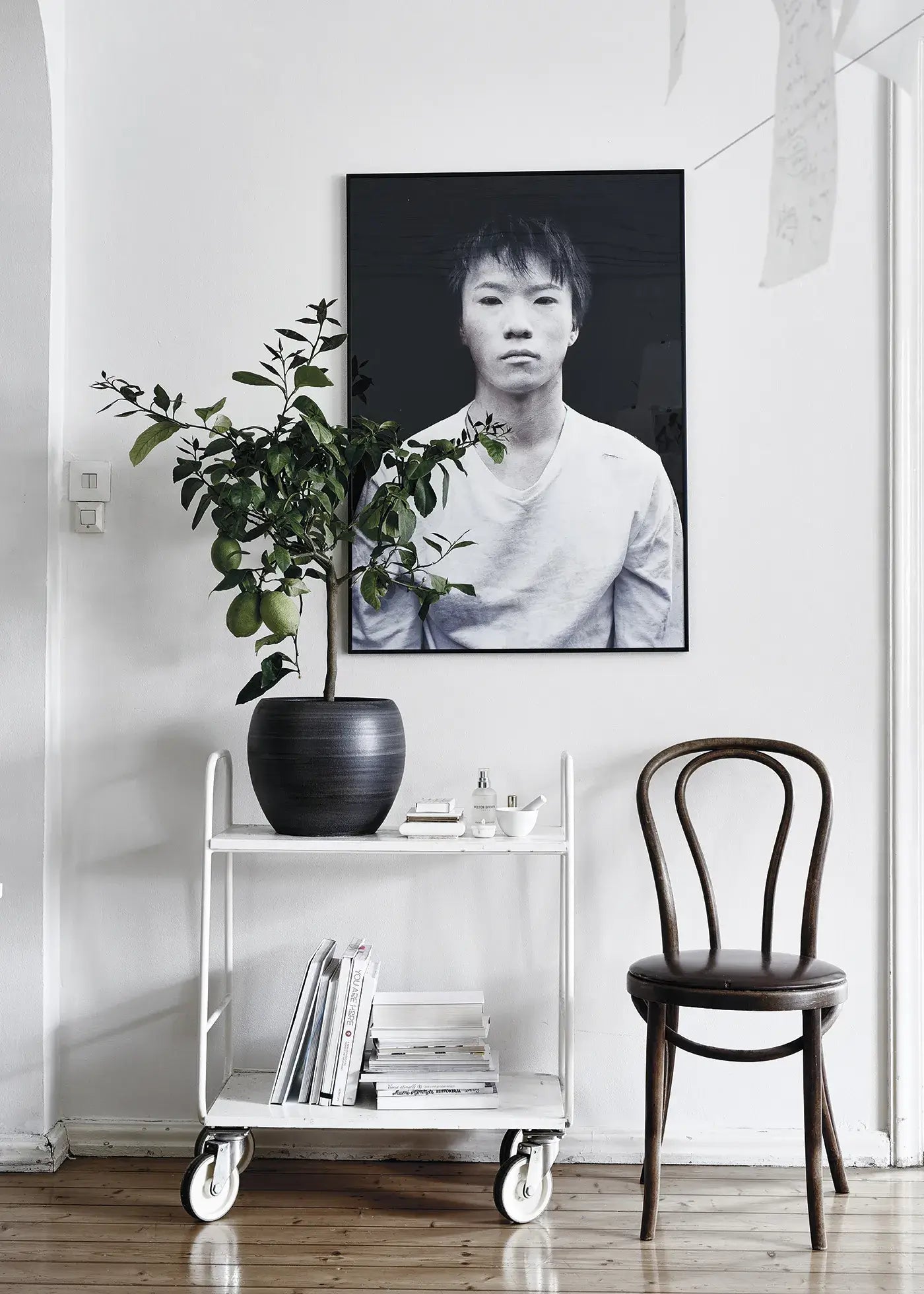 Green Home Book – Inspirierende Wohnideen mit Pflanzen