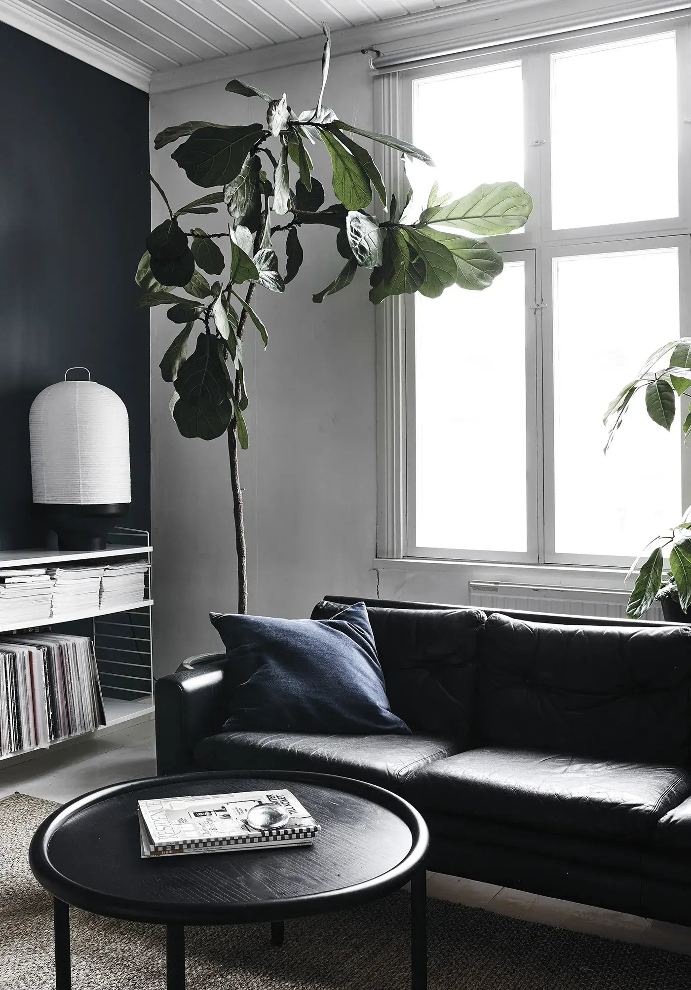 Green Home Book – Inspirierende Wohnideen mit Pflanzen