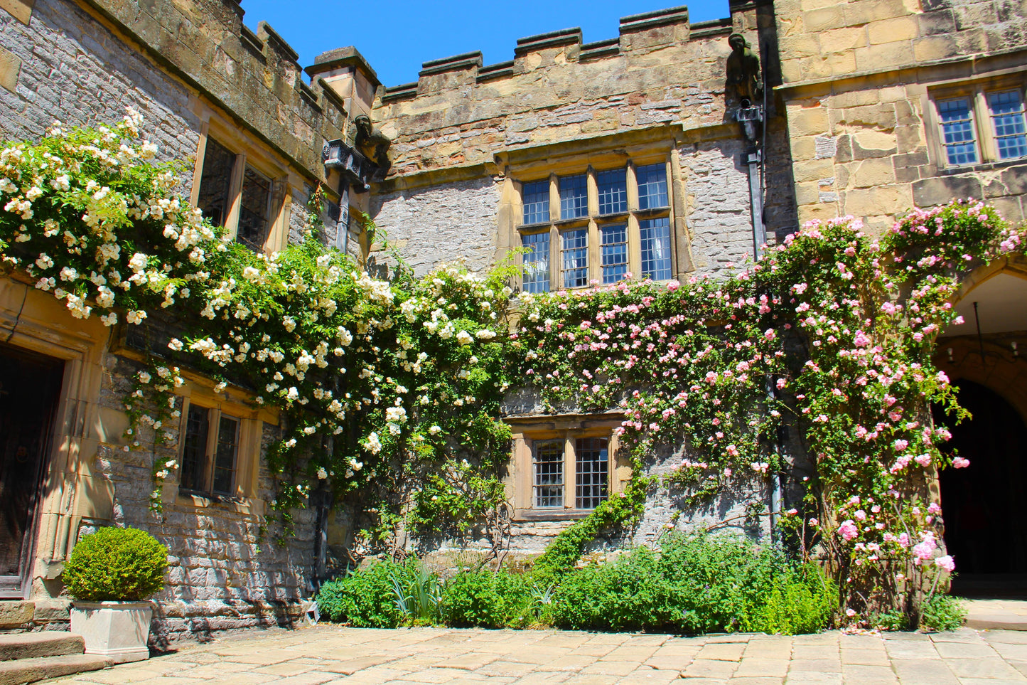 Gärtnern wie Gott in England