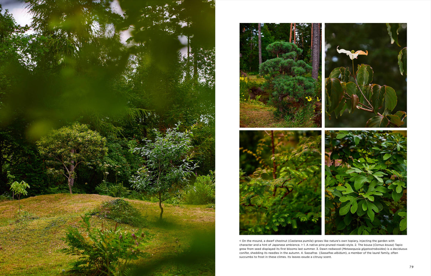 Gartenbuch: Inselgärten