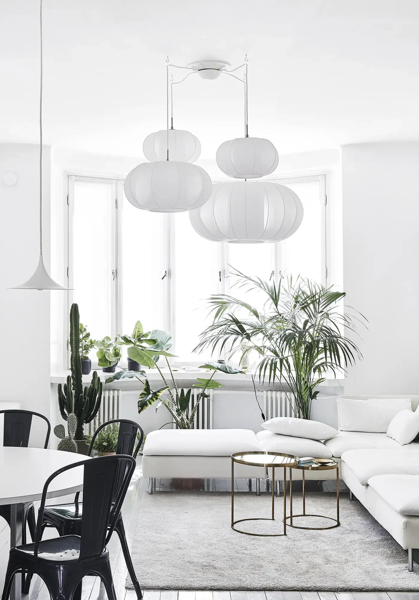 Green Home Book – Inspirierende Wohnideen mit Pflanzen