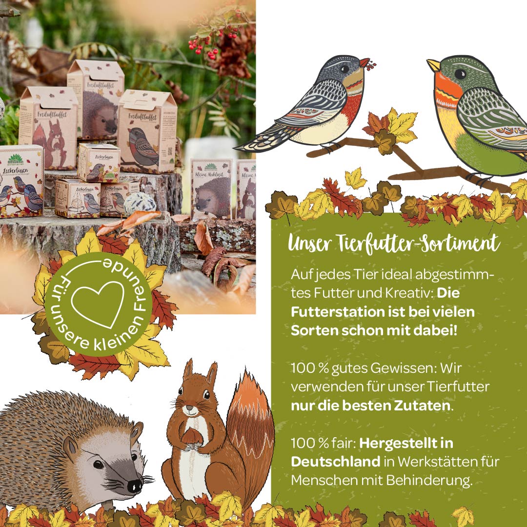 Vogelfutterhaus mit großer Mahlzeit