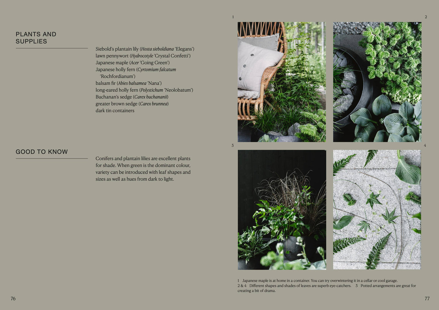 Der Topfgarten — das ganze Jahr über