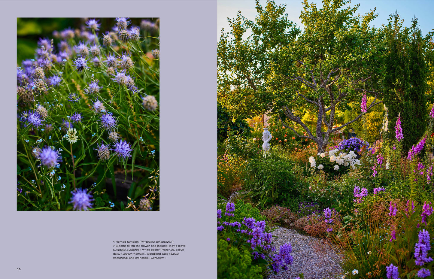 Gartenbuch: Inselgärten