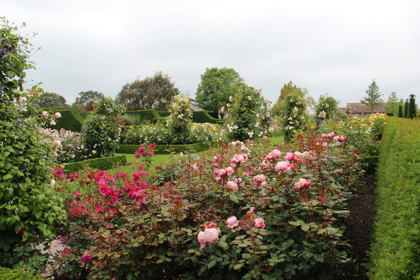 Gärtnern wie Gott in England