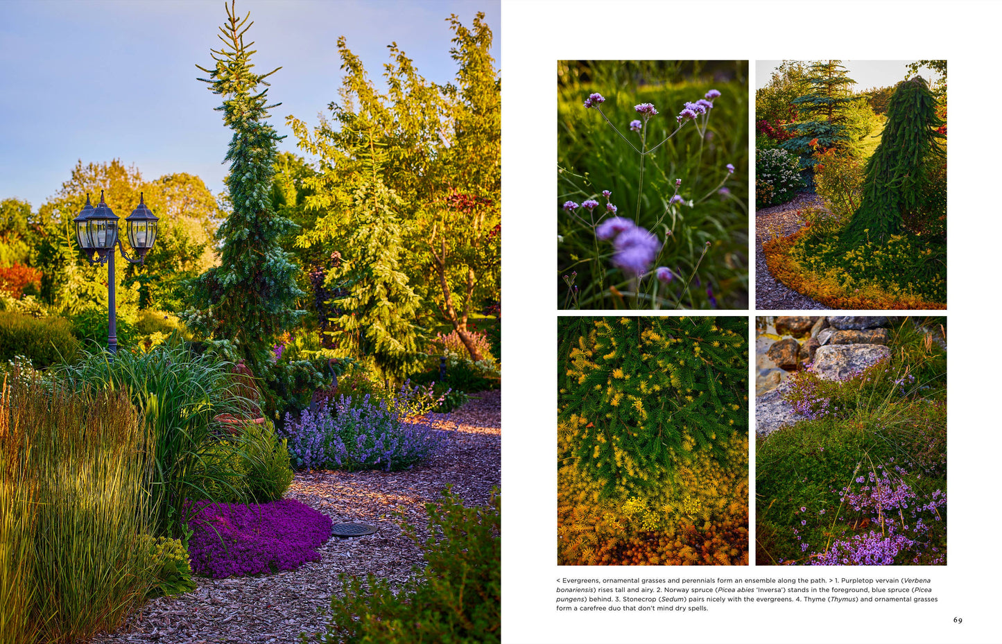 Gartenbuch: Inselgärten