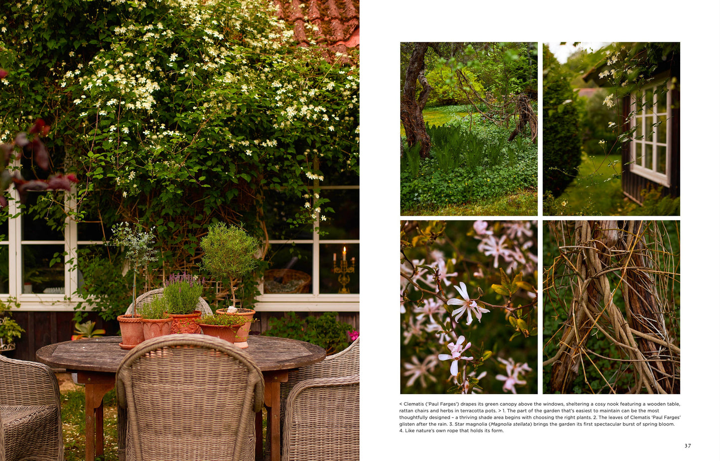 Gartenbuch: Inselgärten